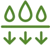 shape-2.png.webp