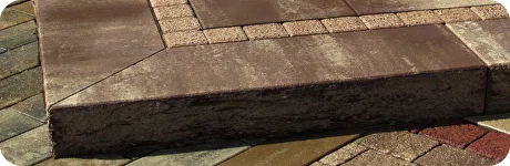 image1.webp